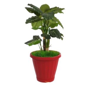 VASO Nº28 C/PRATO VERMELHO (6PÇS)-UNINJET