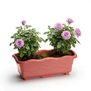 JARDINEIRA PEQUENA TELHA 1,5LTS (12PÇS)-INJEPLASTEC