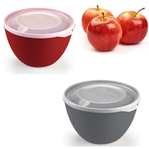 BOWL XG C/TAMPA HÉRMETICA 5500ML COLORIDA (6PÇS)-RAINHA PLÁSTICOS