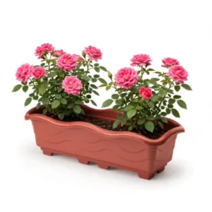 JARDINEIRA GRANDE TELHA 6,5LTS (12PÇS)-INJEPLASTEC