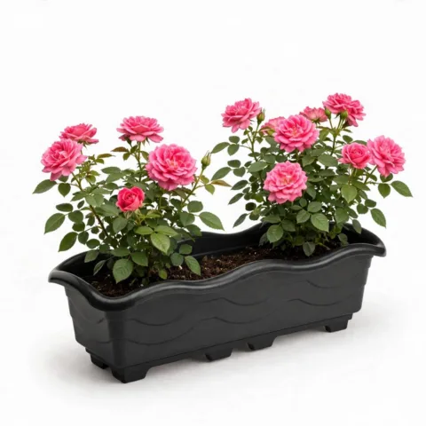 JARDINEIRA GRANDE PRETA 6,5LTS (12PÇS)-INJEPLASTEC