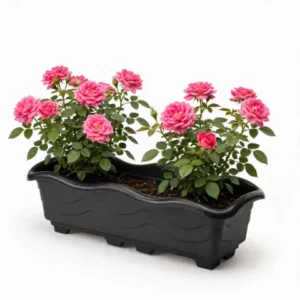 JARDINEIRA GRANDE PRETA 6,5LTS (12PÇS)-INJEPLASTEC