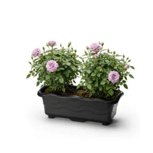 JARDINEIRA PEQUENA PRETA 1,5LTS (12PÇS)-INJEPLASTEC