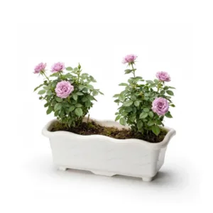 JARDINEIRA PEQUENA MÁRMORE 1,5LTS (12PÇS)-INJEPLASTEC