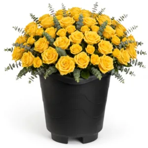 VASO REDONDO EXTRA GRANDE PRETO 26LTS (3PÇS)-INJEPLASTEC