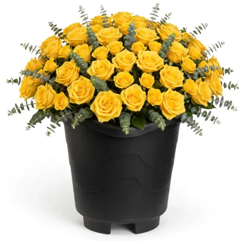 VASO REDONDO EXTRA GRANDE PRETO 26LTS (3PÇS)-INJEPLASTEC