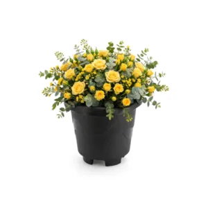 VASO REDONDO PEQUENO PRETO 2,0LTS (12PÇS)-INJEPLASTEC