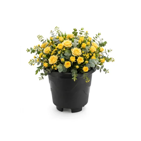 VASO REDONDO PEQUENO PRETO 2,0LTS (12PÇS)-INJEPLASTEC