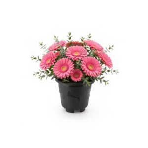 VASO REDONDO MINI PRETO 0,5LTS (12PÇS)-INJEPLASTEC