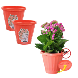 VASO Nº13 C/PRATO CORAL (12PÇS)-UNINJET
