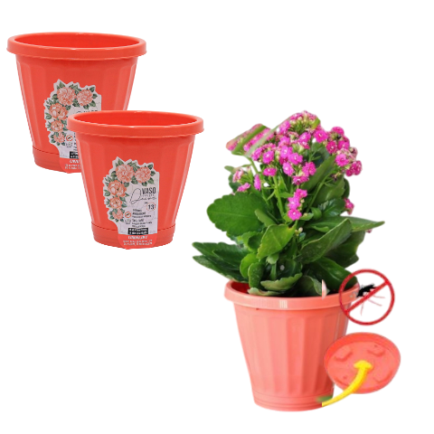 VASO Nº13 C/PRATO CORAL (12PÇS)-UNINJET