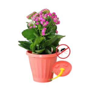 VASO Nº13 C/PRATO CORAL (12PÇS)-UNINJET